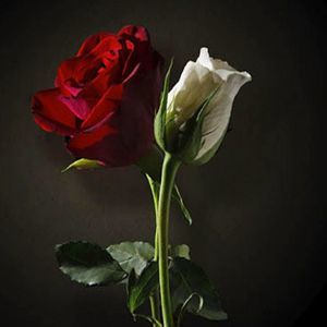 Meet your Posher, Candy